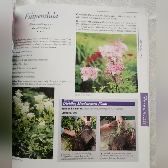 Annuals, Perennials & Bulbs - Picture 6 of 7